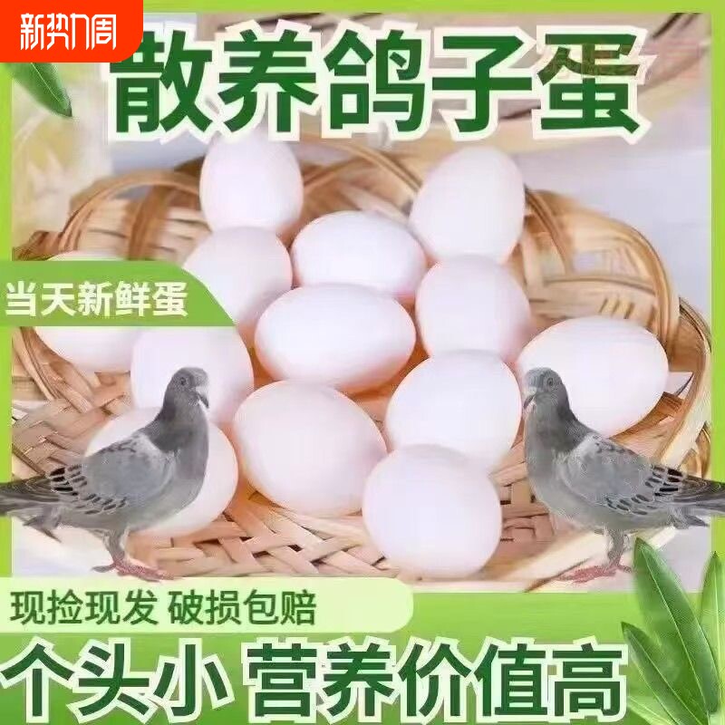【破损包赔】新鲜草鸽子蛋10-60枚农家散养鸽子蛋草鸽蛋宝宝辅食
