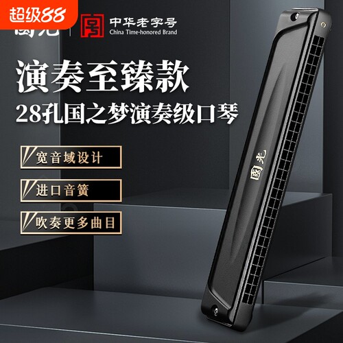 进口音簧国光口琴24孔复音C调