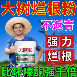 强力大树烂根除大树专用药枯树王腐树根灭杂除芦苇竹子烂根剂神器