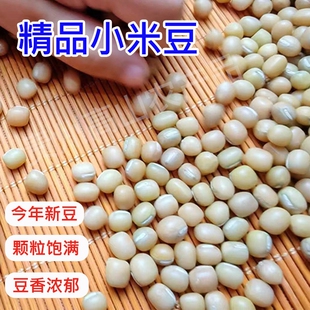 酸菜小豆贵州毕节金沙特产高原米豆新豆米酸菜豆米农家肥自种