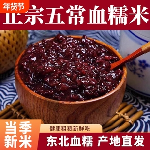 正宗五常黑糯米500g新米酒酿饭团杂粮奶茶血糯米软糯粗粮
