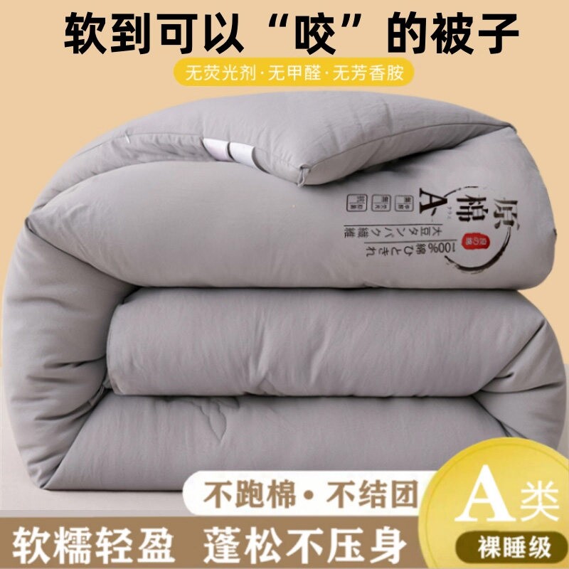 大豆纤维被子冬被棉被秋冬季被芯春秋被单人双人加厚保暖四季通用