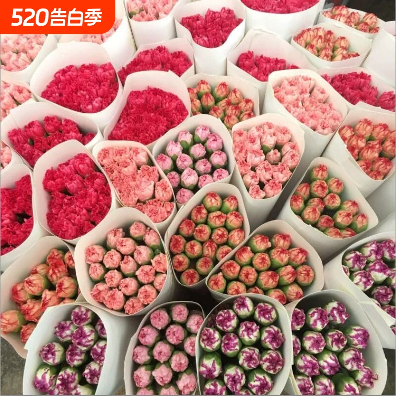 鲜花花束云南昆明直发康乃馨基地同城水养花母亲节礼物水培客厅