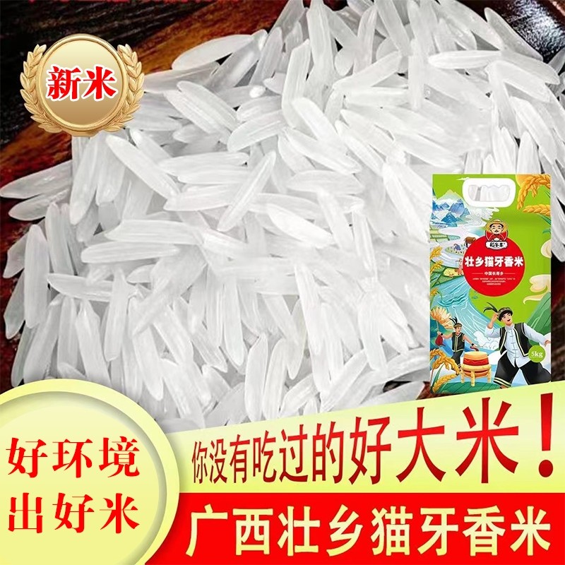 正宗猫牙香米大米2025年丝苗米农家新米象牙米长粒香真空一级籼米