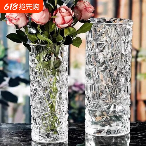玻璃花瓶摆件客厅插花轻奢高级感