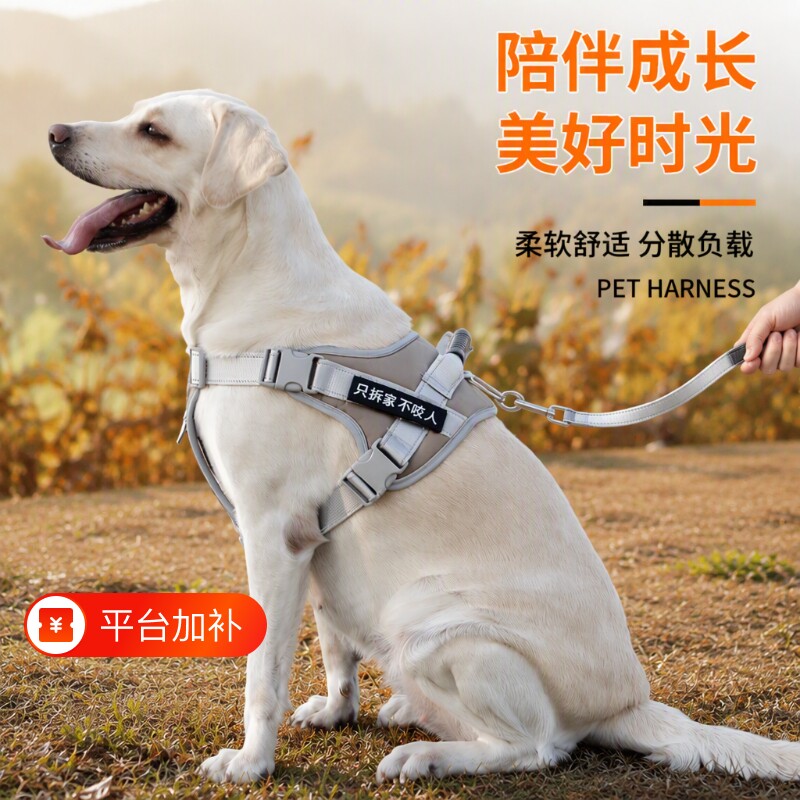 宠物遛狗胸背带防爆冲拉布拉多狗链子中大型犬金毛狗狗牵引绳子