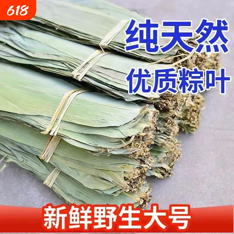 粽子叶粽叶干大号棕叶新鲜包粽子竹叶子干粽叶商用箬叶材料