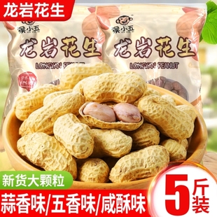 龙岩花生蒜香五香味花生米带壳炒货小零食下酒菜熟花生特产新鲜