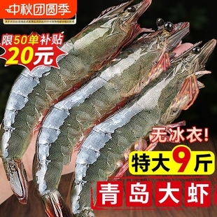 大虾鲜活超大基围虾特大青虾冷冻青岛鲜对虾速冻海虾虾类海鲜水产