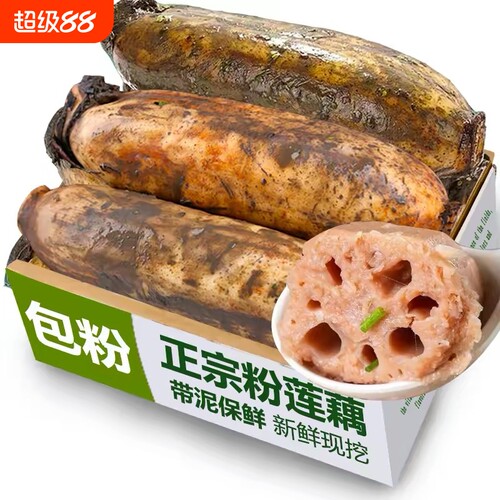 正宗湖北洪湖莲藕新鲜粉藕九孔藕