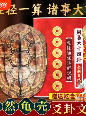 天然乌龟壳文玩六爻摇卦工具真龟甲乾隆铜钱占六十四卜打算卦摆件