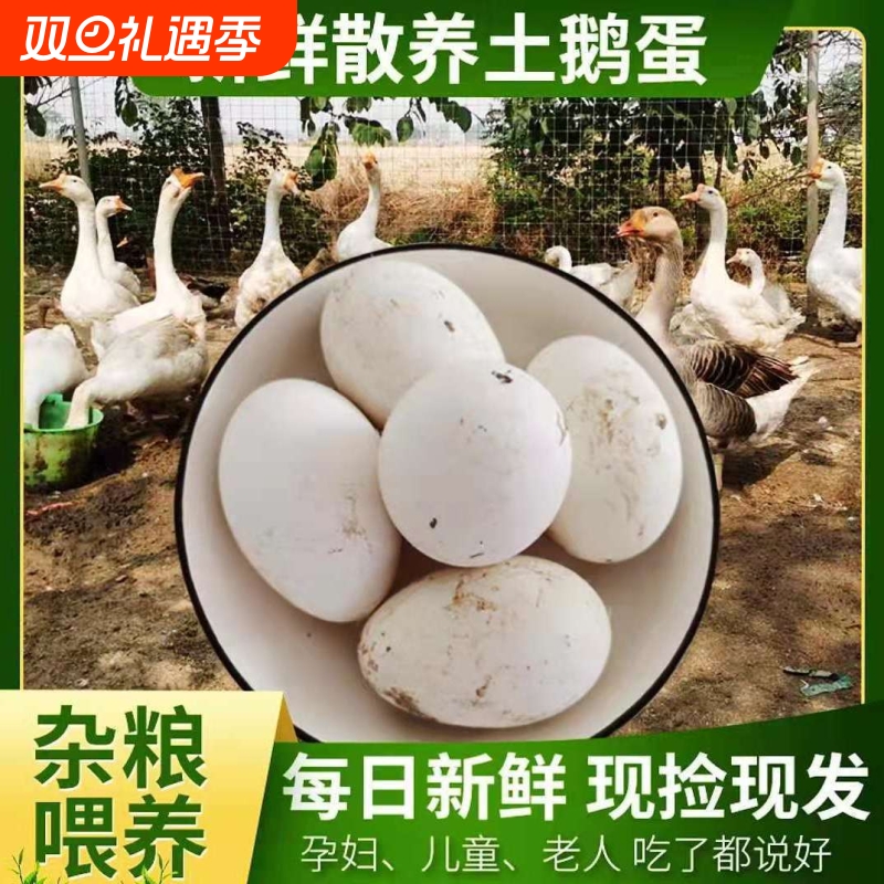 散养鹅蛋新鲜孕妇正宗老 草鹅蛋土鹅蛋新鲜现捡现发