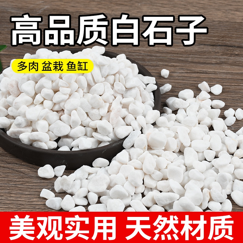 天然精选白石子鱼缸铺底盆栽铺面