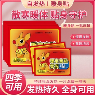 自发热防寒保暖贴 5片