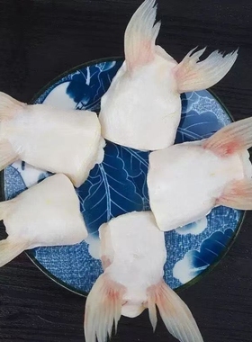 巴沙鱼鳍新鲜冷冻鱼翅鱼鳍回鱼下巴巴沙鱼翅鱼下巴家庭装鱼翅冷冻
