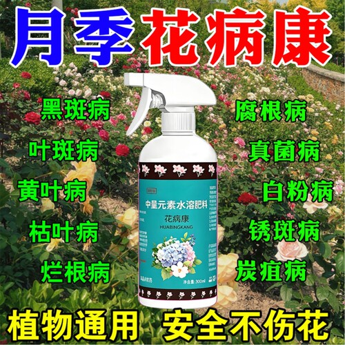 花病康杀菌剂喷雾三角梅月季兰花多肉花卉白粉黑斑病植物蔬菜绿植
