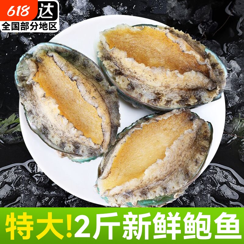 鲍鱼肉新鲜活鲍去牙去壳去内脏新鲜冷冻大鲍鱼火锅食材优选年货节