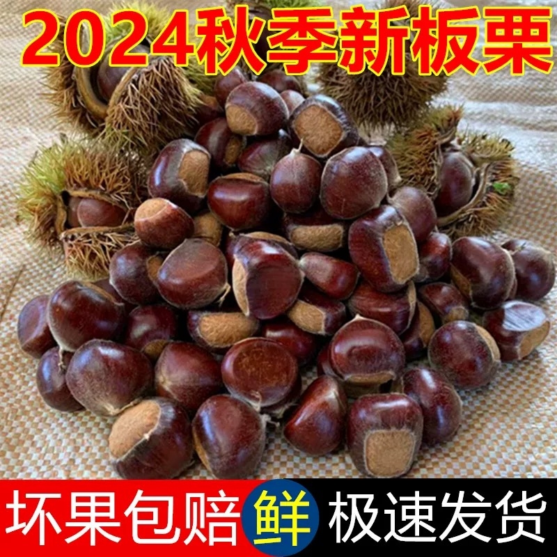板栗生新鲜河北栗子5斤大去壳去皮板栗仁燕山熟小油栗板粟肉即食