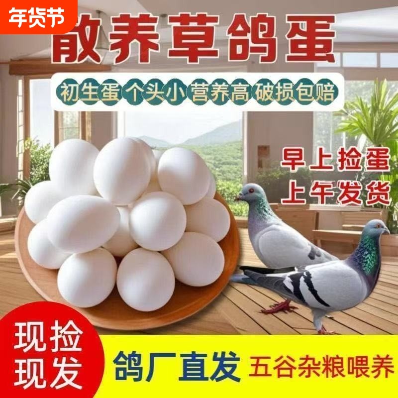 新鲜散养草鸽鸽子蛋正品杂粮鸽蛋农家散养白鸽蛋30枚个装非鹌鹑蛋,水产肉类/新鲜蔬果/熟食,鸽蛋,淘宝优惠券,粉丝福利购,淘宝优惠卷