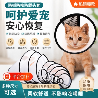 狗狗伊丽莎白圈猫狗项圈猫咪绝育