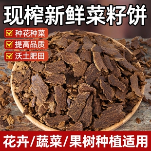 菜籽饼肥料发酵有机肥油枯饼现榨种菜种花专用肥钓鱼正宗窝料菜枯