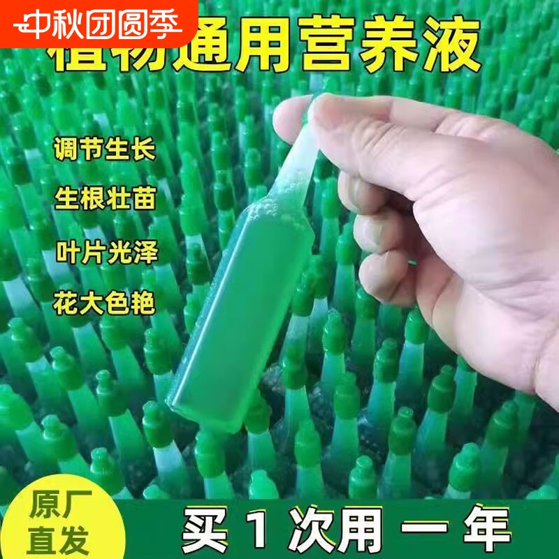 绿萝植物营养液通用型富贵竹专用盆栽土水培多肉发财树花卉肥料图片