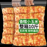 云南西双版纳香糯小玉米新鲜即食代餐粗粮甜花糯玉米儿童速食早餐