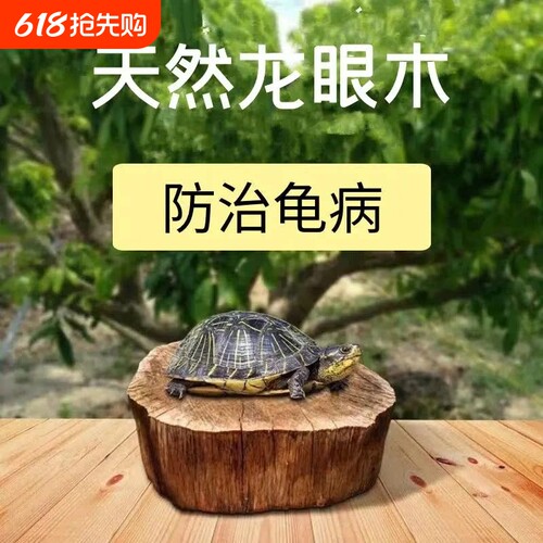 龙眼木乌龟爬台|超5000次加购