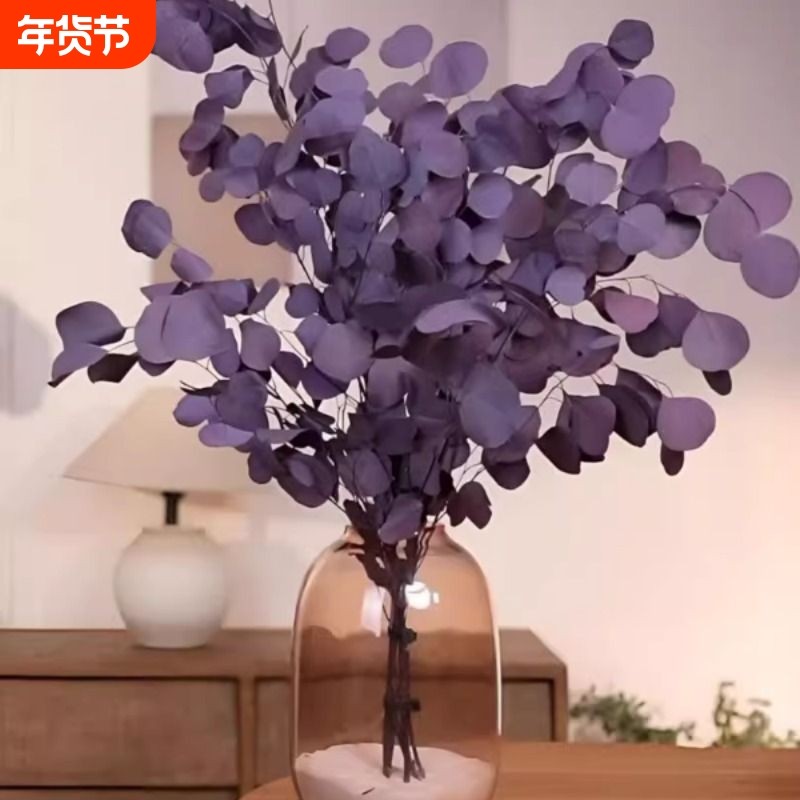 尤加利叶干花花束客厅摆设天然风干真花装饰摆件高级感保鲜永生花