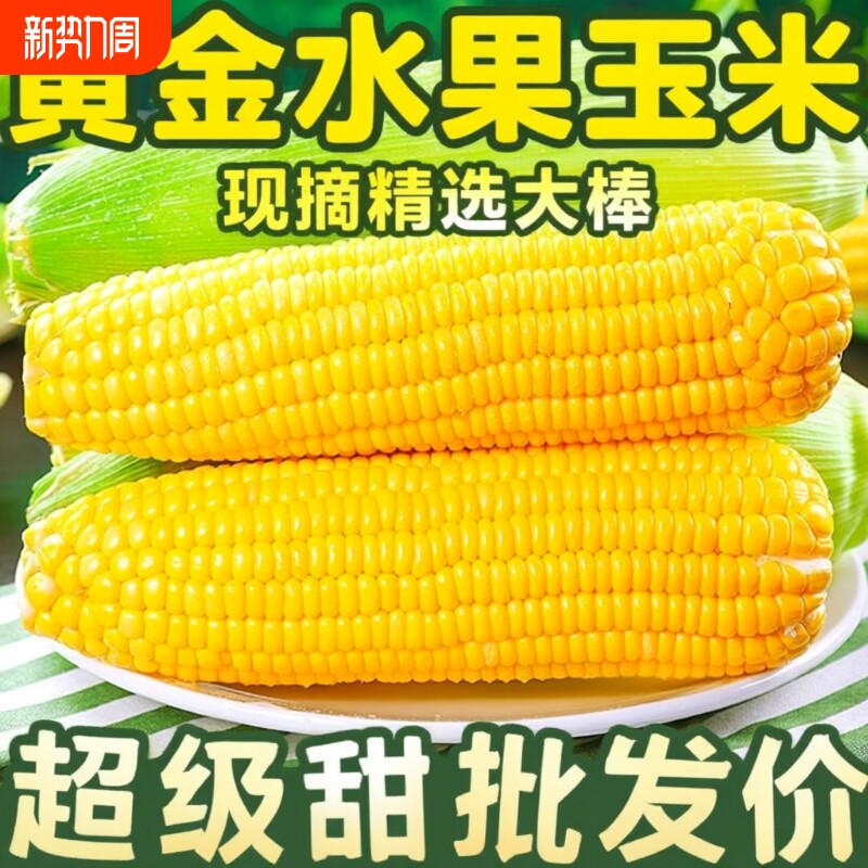 广西现摘大甜玉米水果玉米5斤粘糯甜苞谷非金银云南9当季生鲜新鲜