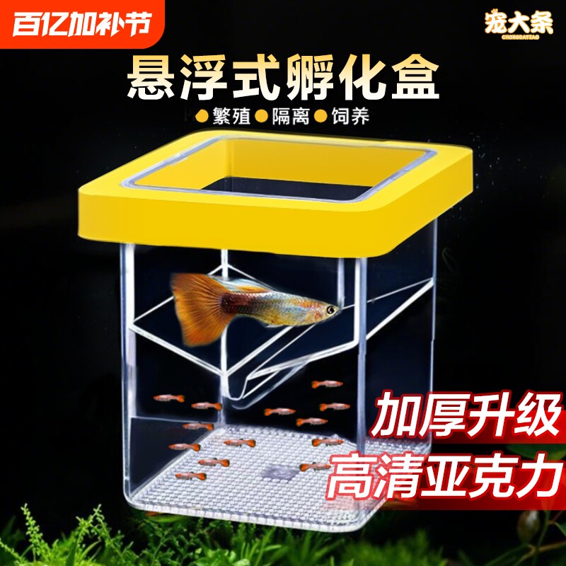鱼缸繁殖隔离器悬浮式母鱼孵化器孔雀鱼凤尾鱼繁殖盒固定方形