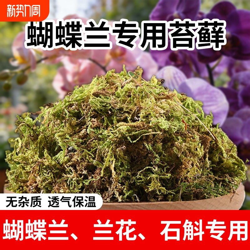 青苔干苔藓兰花蝴蝶兰石斛种植专用营养土乌龟垫材水苔铺面毛毛虫
