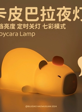 卡皮巴拉小夜灯卧室睡眠床头伴睡充电儿童拍拍柔光护眼氛围感应灯