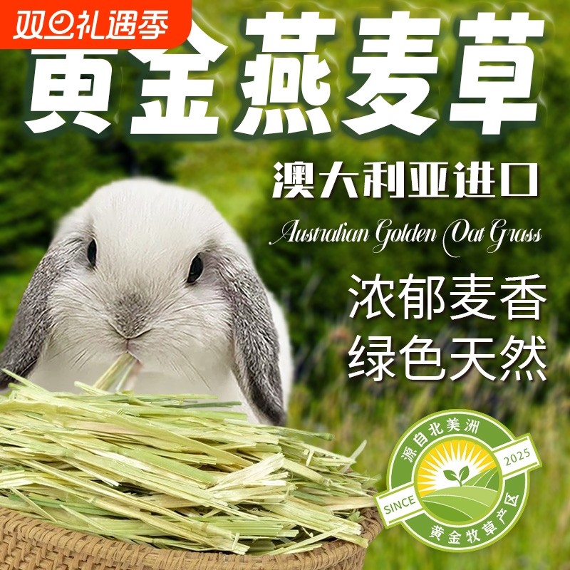 燕麦草澳麦草兔子草黄金澳洲燕麦草荷兰猪兔子食用晒干草饲料