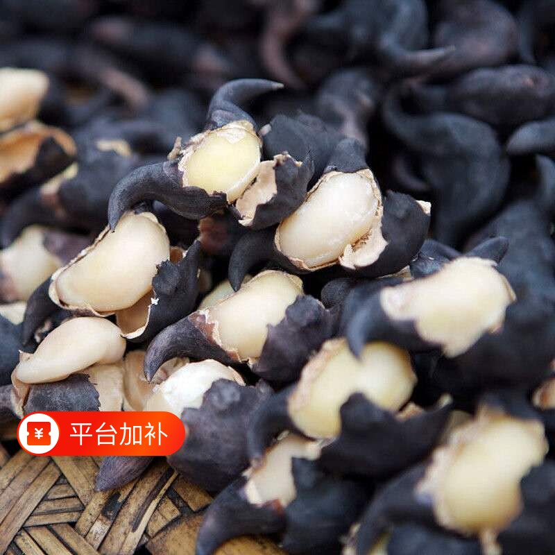 洪湖老菱角新鲜菱角生棱角老黑菱角凌角粉糯老菱角湖北特产凌角大