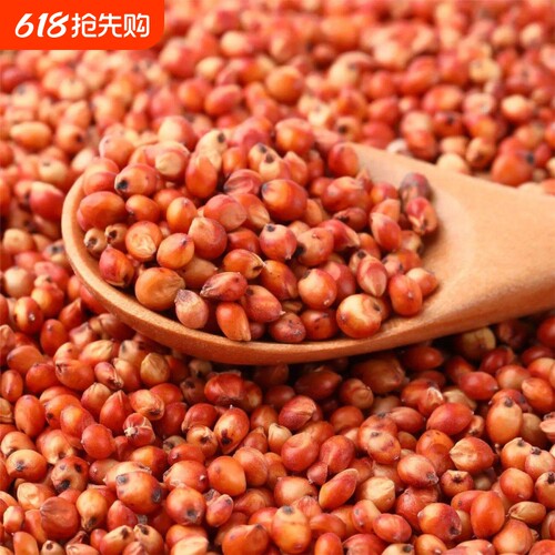 红高粱喂鸽子粮食去壳带皮
