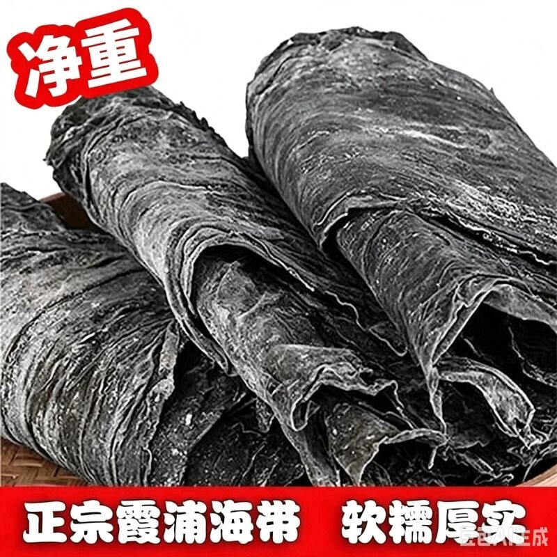 特厚海带干货福建霞浦图片
