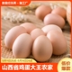 农家散养新鲜土鸡蛋20枚 山西省鸡蛋大王