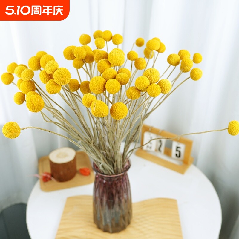 黄金球干花花束装饰品摆件满天星插花天然风干真花材料婚礼礼品