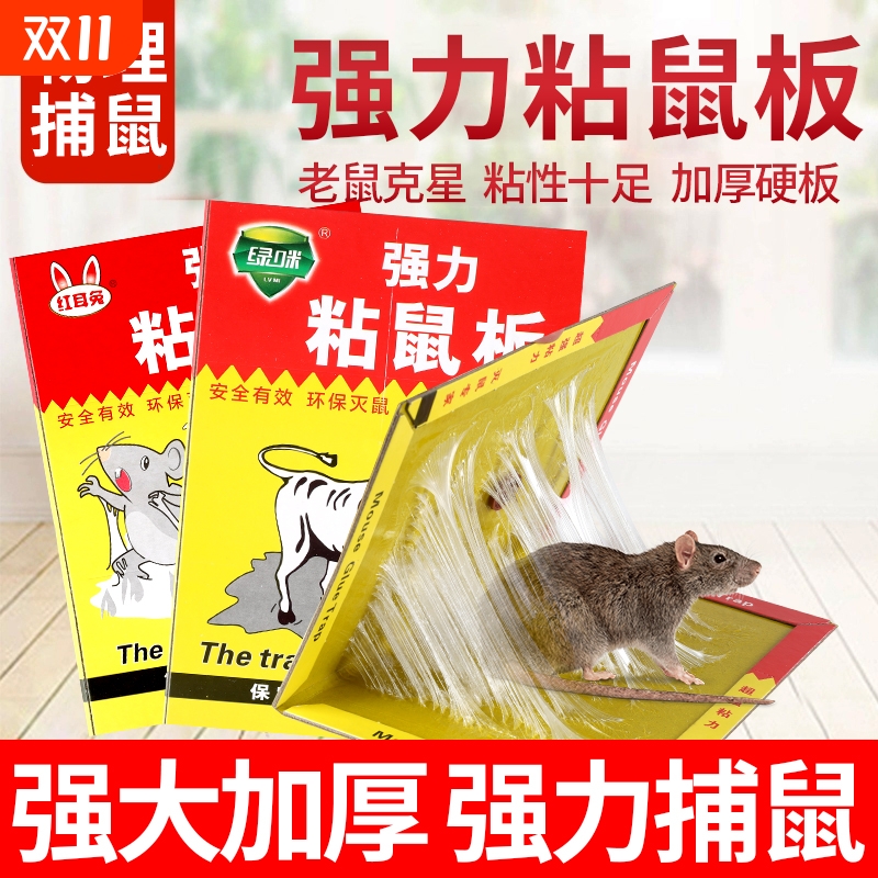 绿咪粘鼠板超大强力捕鼠老鼠板