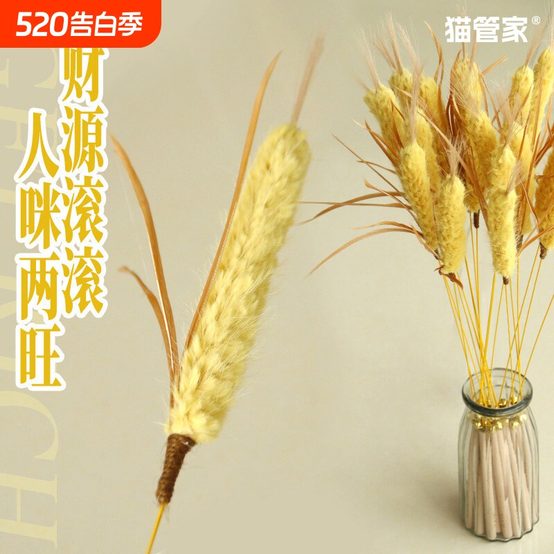 逗猫棒薰衣草仿真草幼猫自嗨解闷互动耐咬消耗体力猫玩具激光羽毛