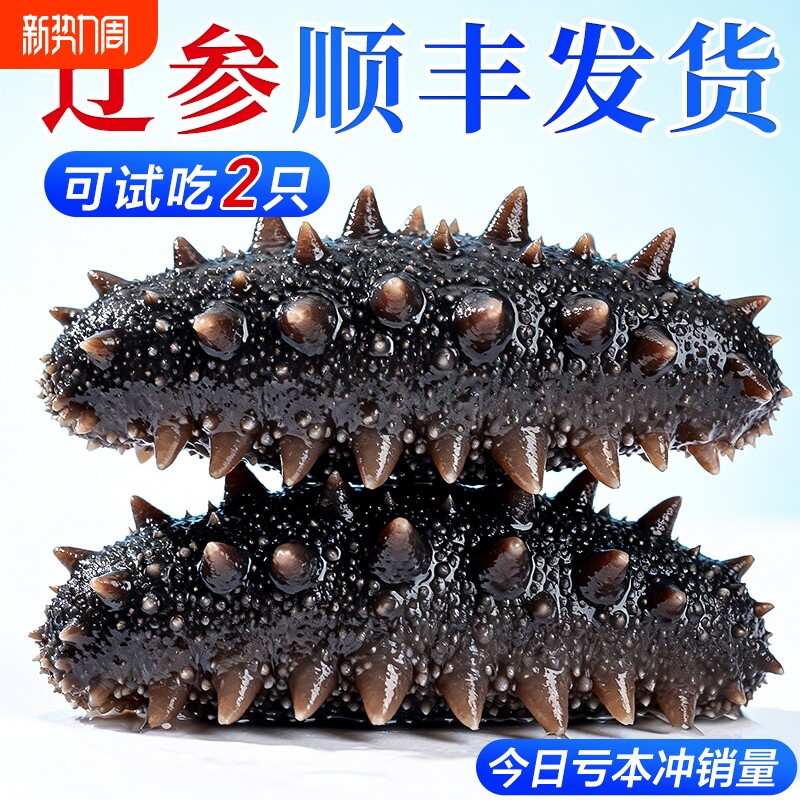 大连海参即食刺参礼盒淡干辽参鲜活生海渗独立包装袋官方旗舰店