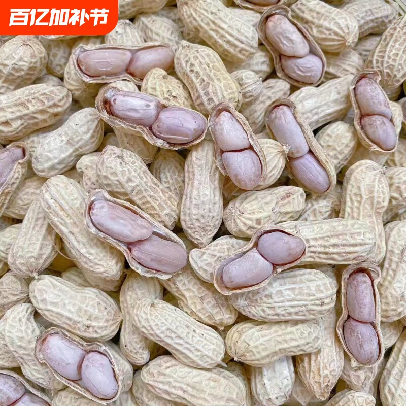 24年新鲜客家水煮花生晒干咸味水煮白玉咸干白晒花生纹路深有嚼劲