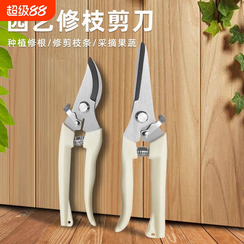 园艺剪修枝剪花剪园林剪刀图片