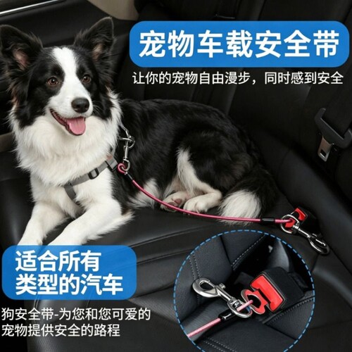 狗狗猫咪车载安全带牵引绳