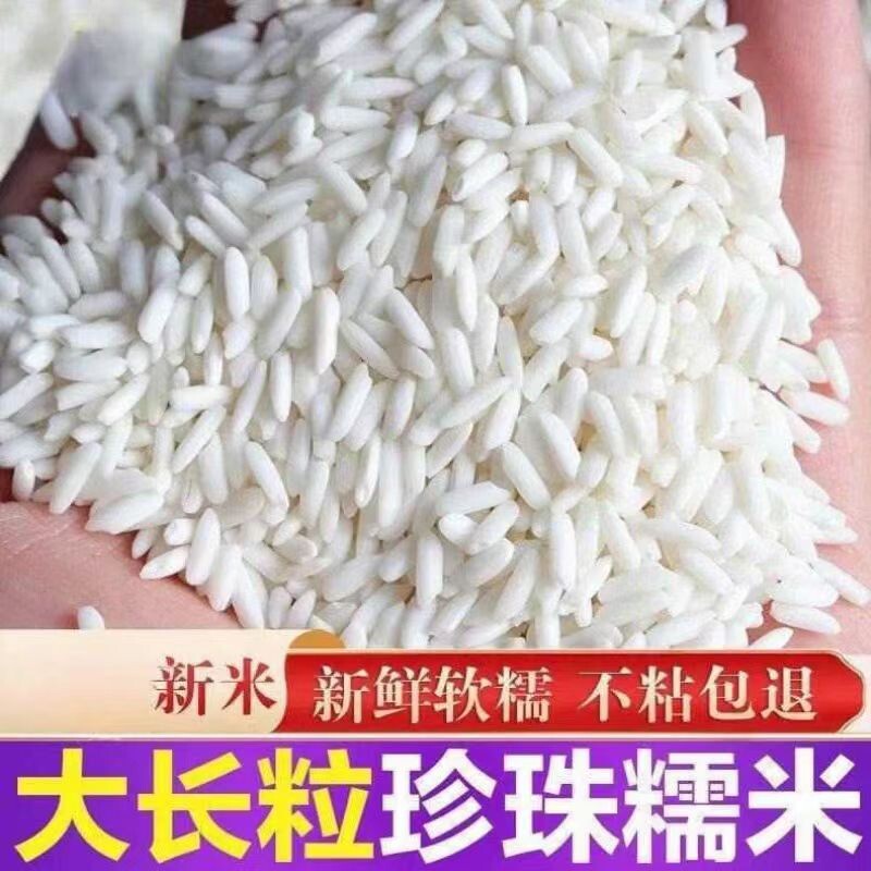 湖北新鲜糯米新米新鲜长粒糯米酿酒包粽子糍粑纯正江米糯米