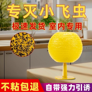 果蝇诱捕器室内去除小飞虫克星灭杀神器飞虫厨房蠓虫粘虫球诱苍蝇