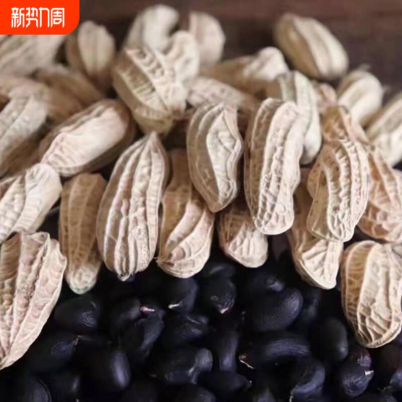 新货特价2025年云南黑花生带壳富硒晒干普洱黑皮花生新鲜