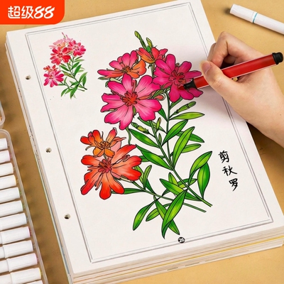 本草纲目白描线稿中草药材植物简笔画儿童涂色线描素材画画临摹本