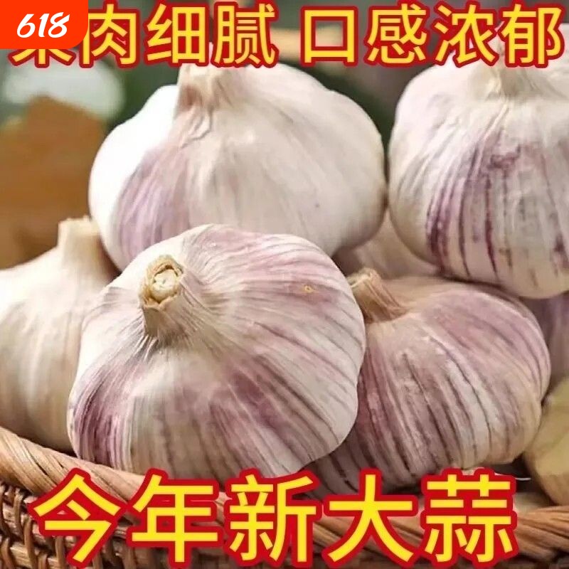 山东农家干大蒜5斤大蒜头新鲜大蒜紫白皮种子新干蒜蔬菜佐料蒜子